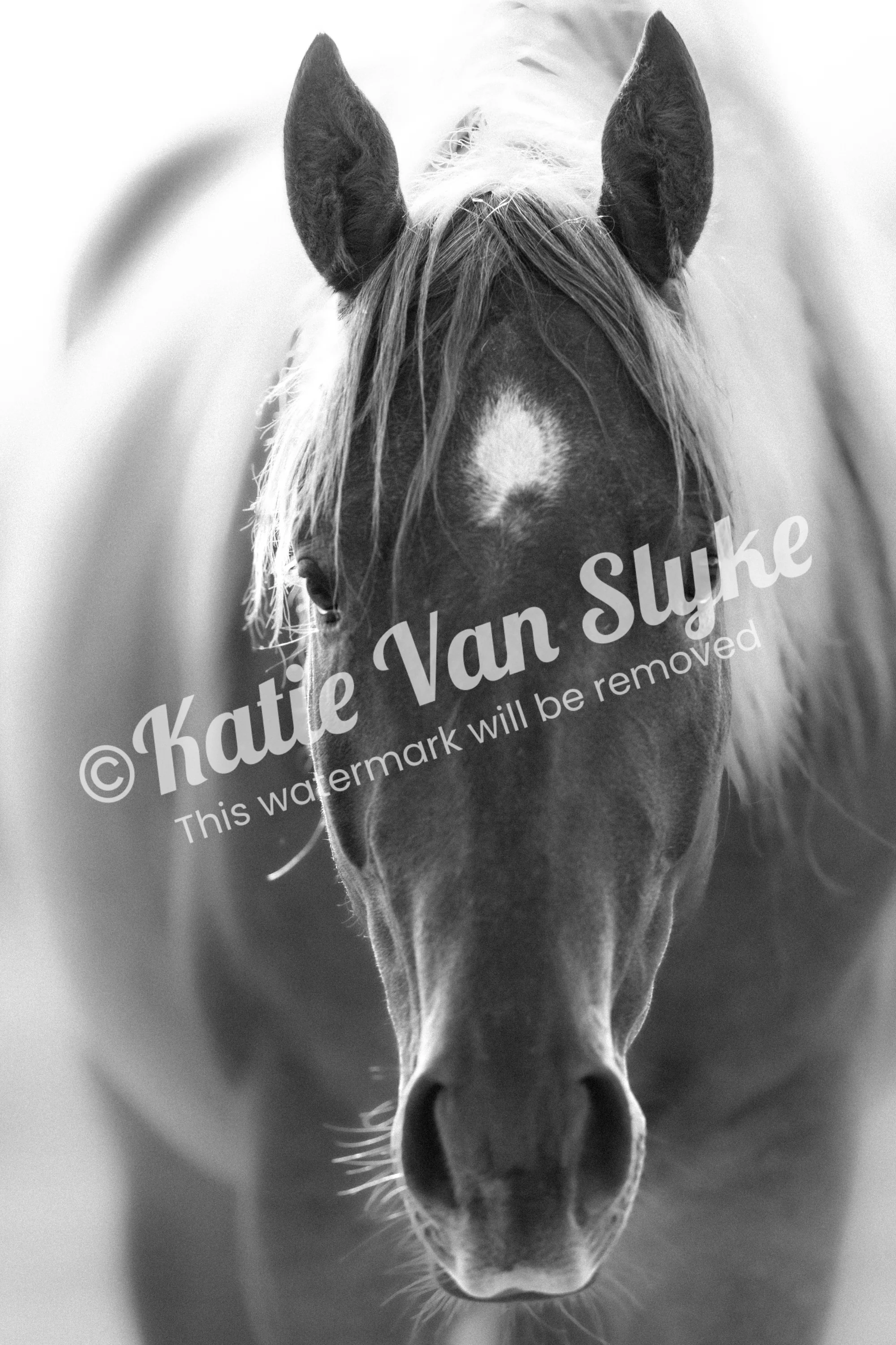 Ginger Digital Download by Katie Van Slykeâ„¢
