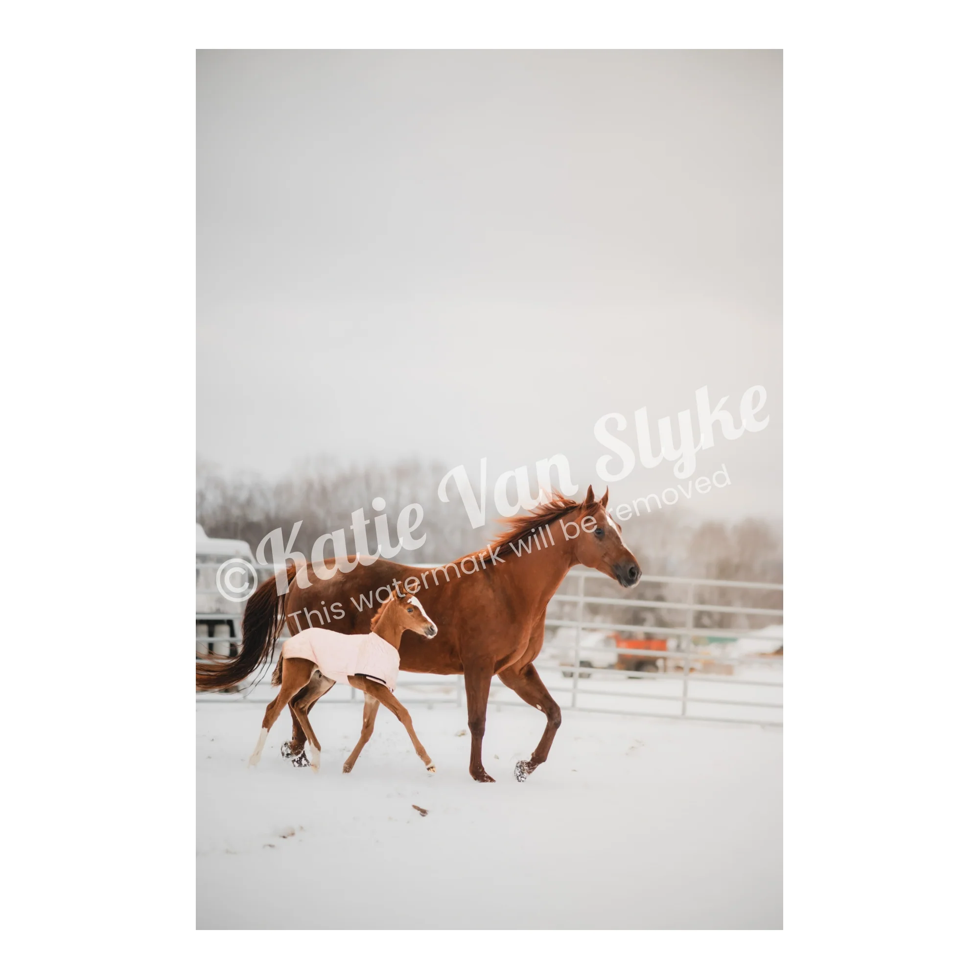 Erlene and Noelle Snow Digital Download by Katie Van Slykeâ„¢