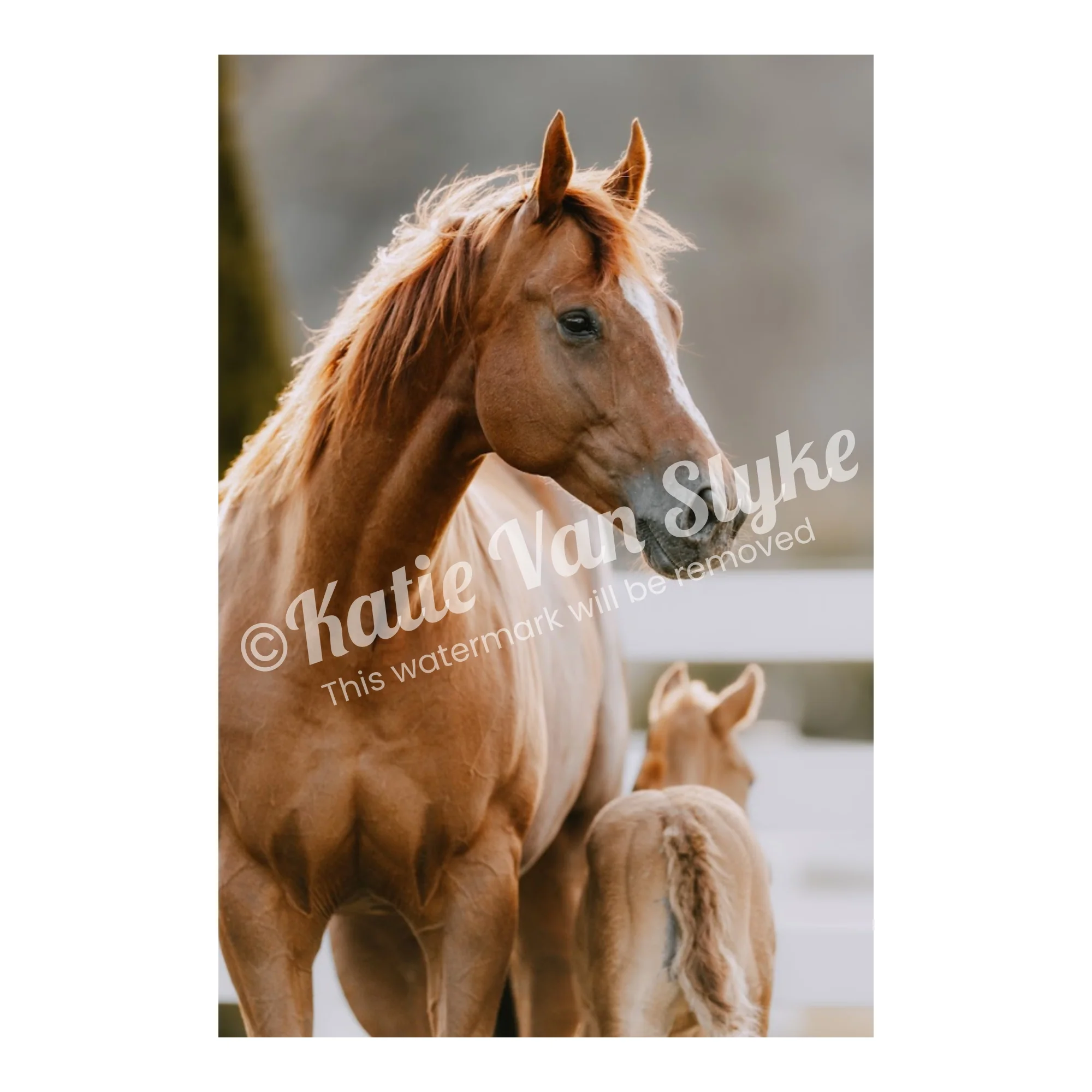 Erlene Digital Download by Katie Van Slykeâ„¢