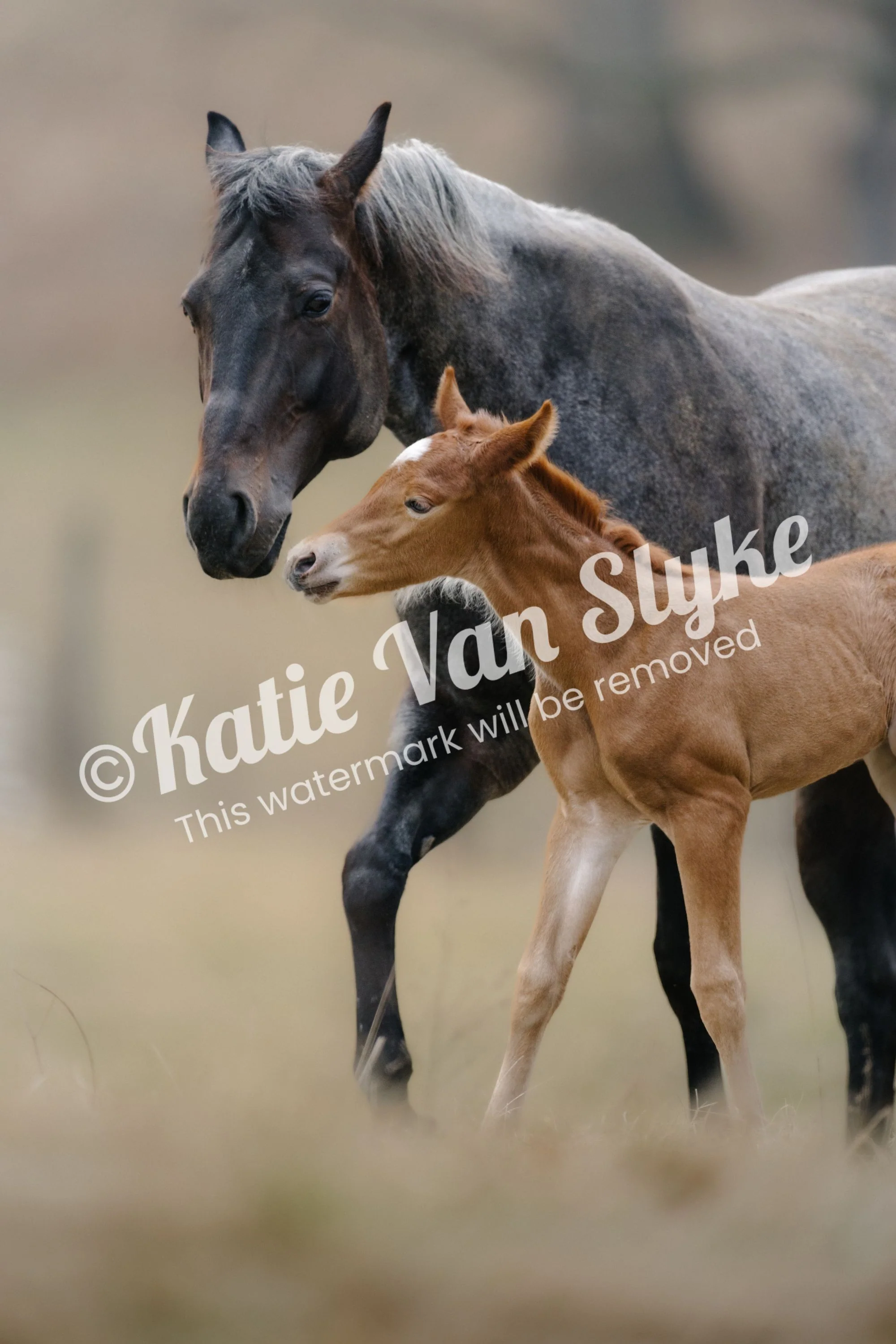 Ethel and Ruby Digital Download by Katie Van Slykeâ„¢