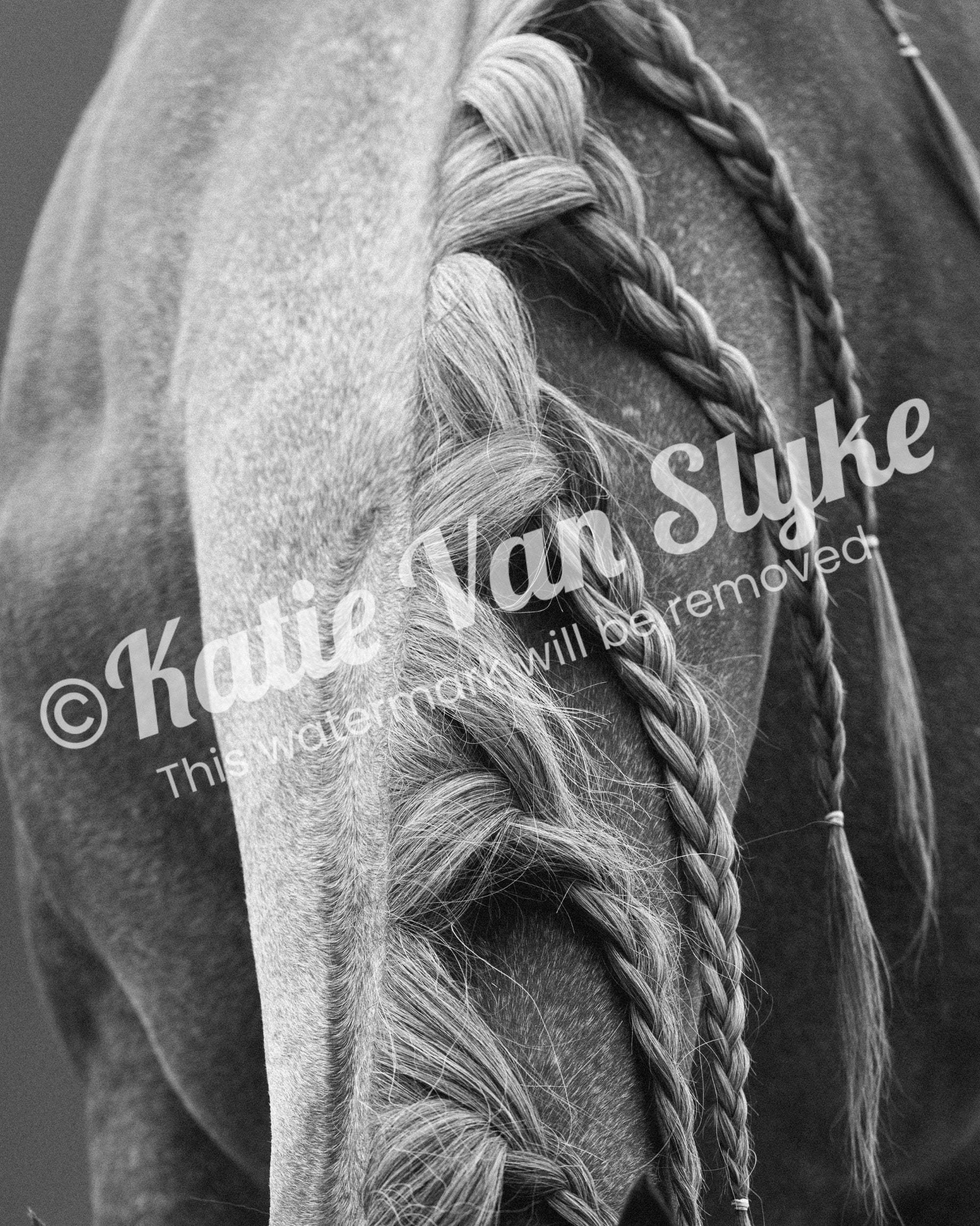 Ginger's Braids Digital Download by Katie Van Slykeâ„¢