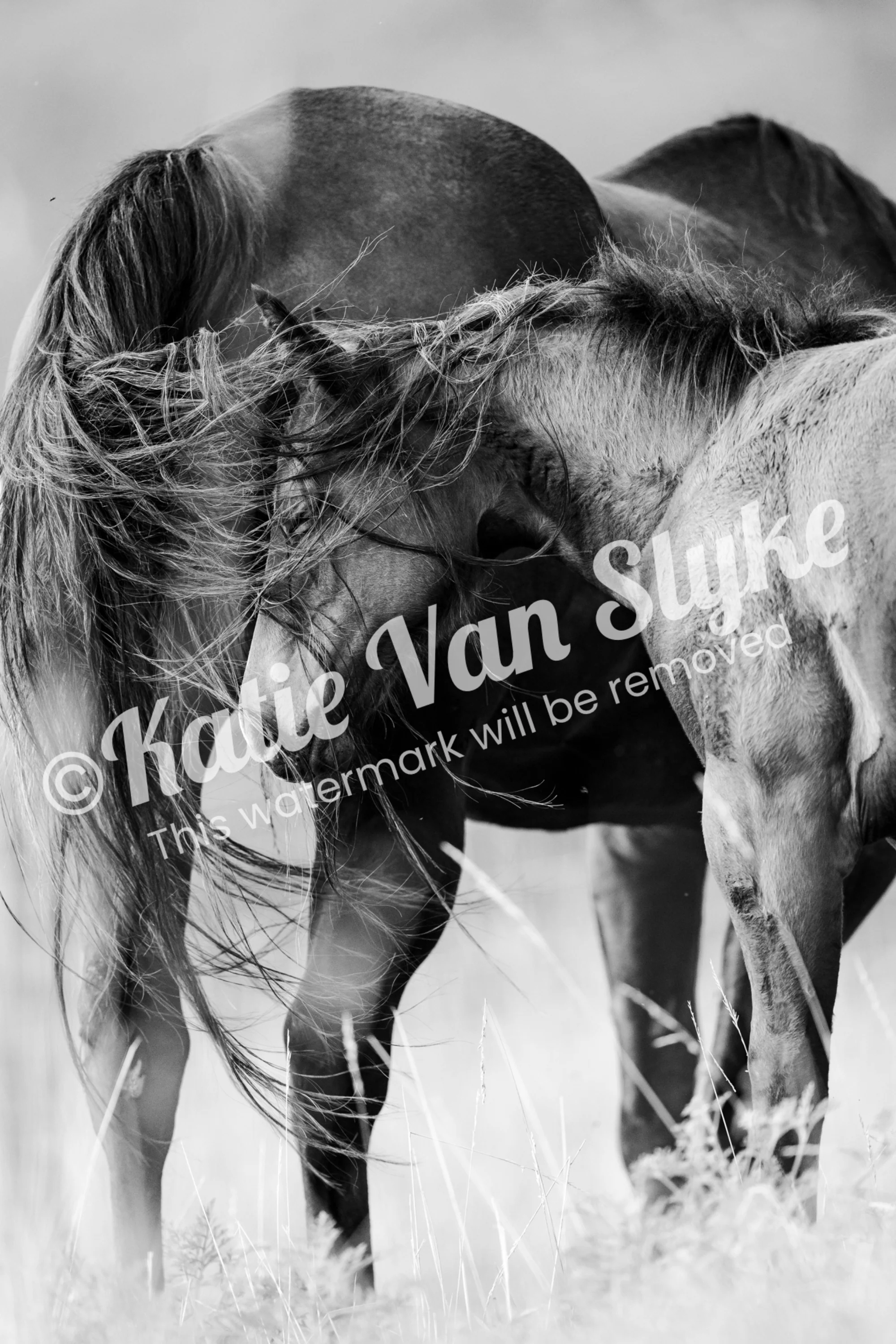 Horse Digital Download by Katie Van Slykeâ„¢