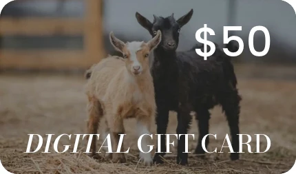 Gift Cards by Katie Van Slyke™ - Image 3