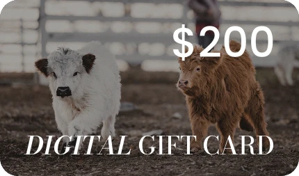 Gift Cards by Katie Van Slyke™ - Image 5