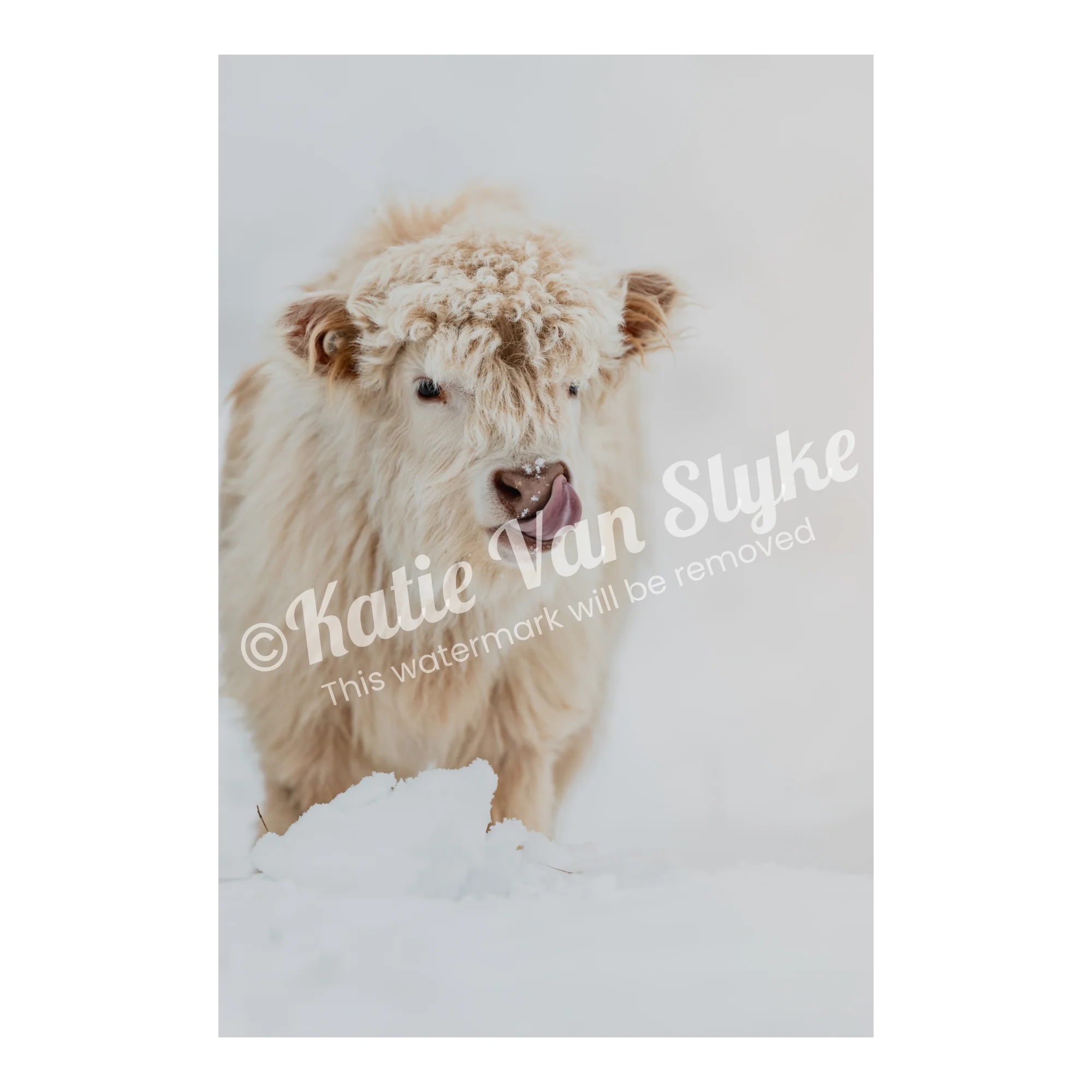 Pearl Snow Digital Download by Katie Van Slykeâ„¢
