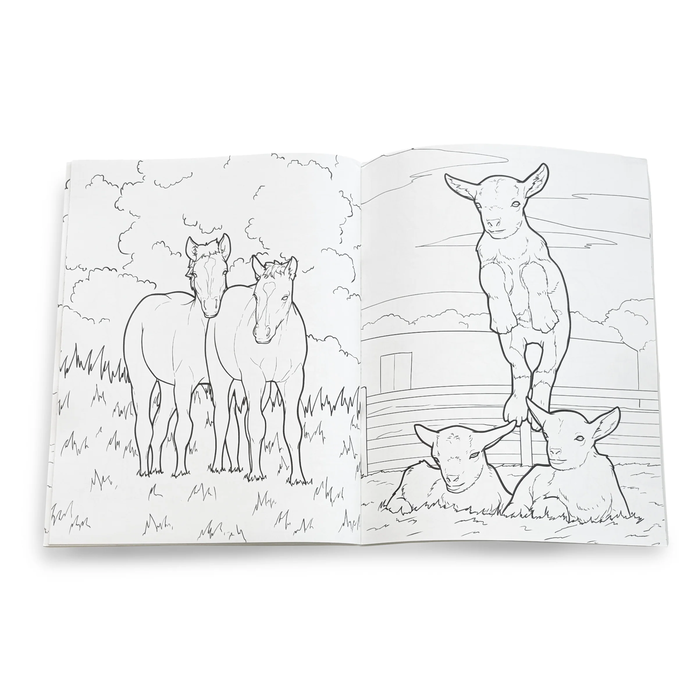 Running Springs Coloring Book by Katie Van Slyke® - Image 3