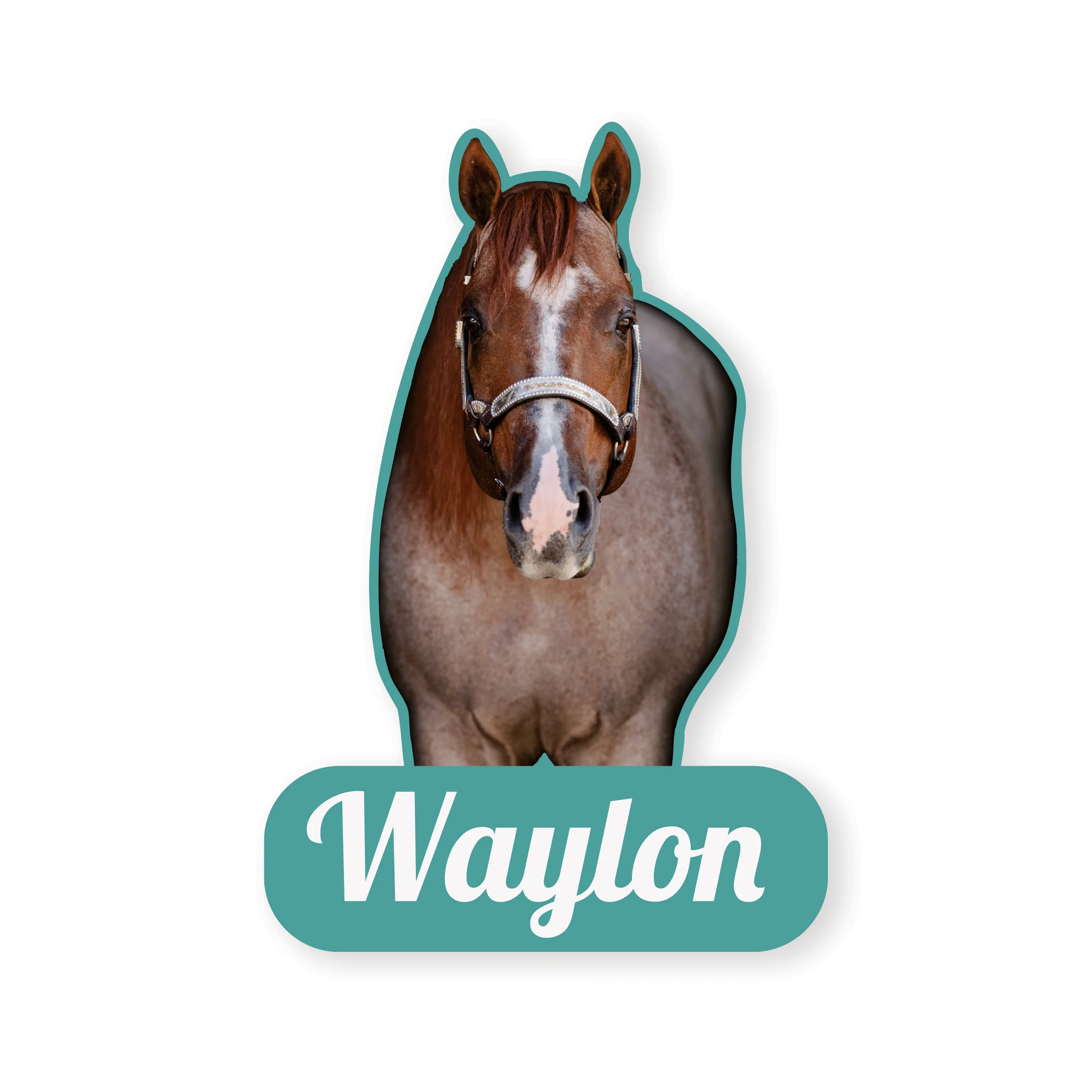 Stallions Sticker 5-Pack by Katie Van Slyke® - Image 7