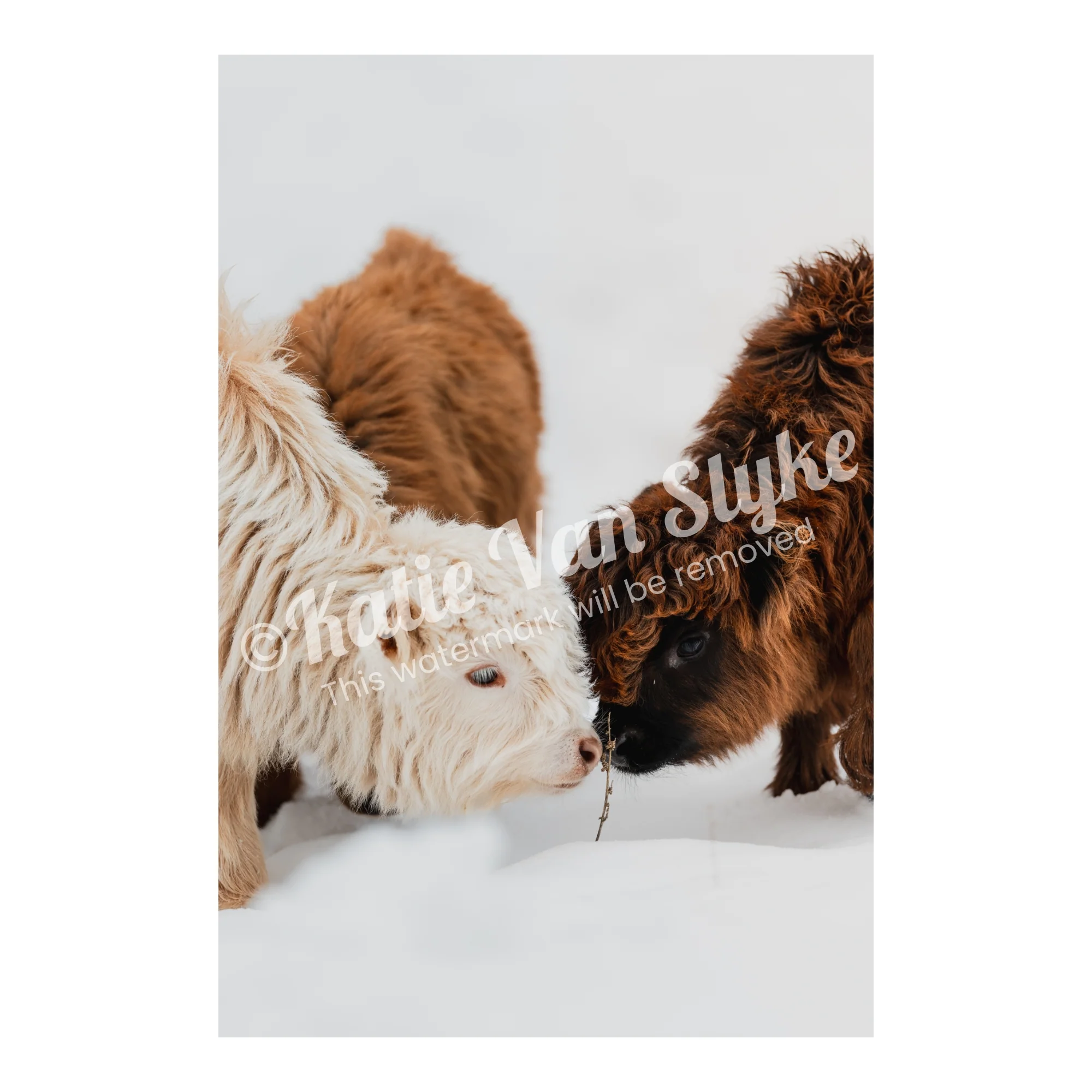 The New Minis Snow Digital Download by Katie Van Slykeâ„¢